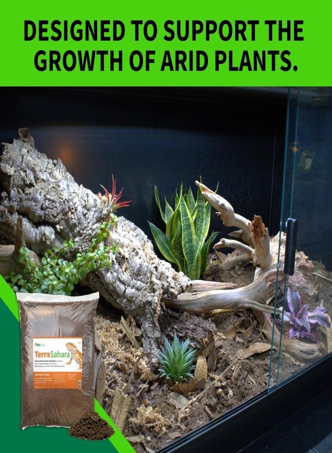 BIODUDE The Bio Dude Terra Sahara Bioactive Reptile Substrate 6 quarts for terrariums and vivariums. Great Bedding for Bearded Dragons, Uromasatyx, Leopard Geckos, Sand Boas and Desert Plants - Image 4